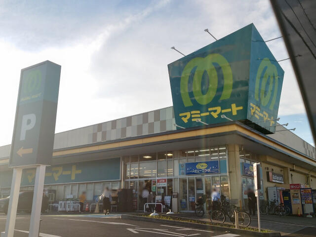 ブルーミングガーデン　松戸市高塚新田４期２棟／４期２号棟の周辺|マミーマート高塚店まで606m