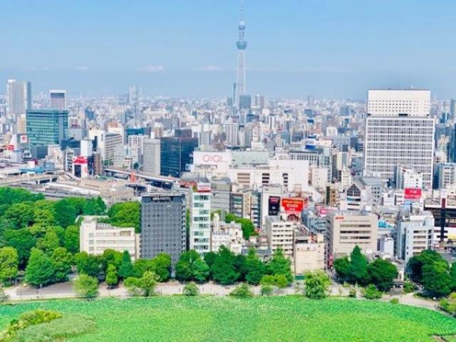 Brillia Tower 上野池之端の展望