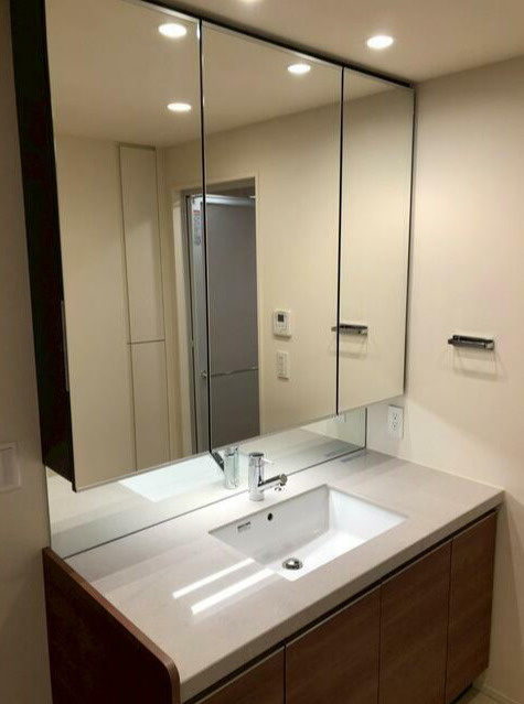 Brillia Tower 上野池之端の洗面所