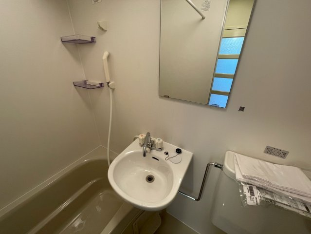 シティーハイツ弥刀の洗面所