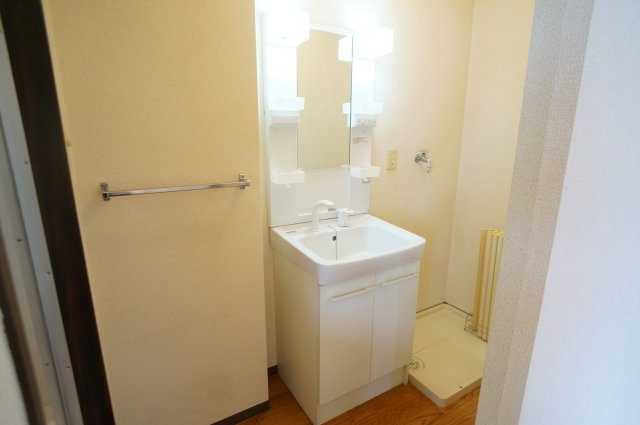 ロジュマンの洗面所