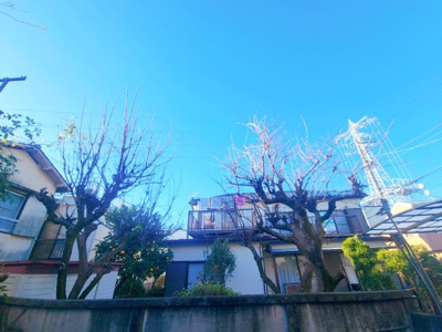 【展望】 | ロイヤルハイツ