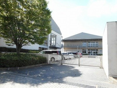 セレノパラッツオⅡの周辺|野田市立みずき小学校まで500m