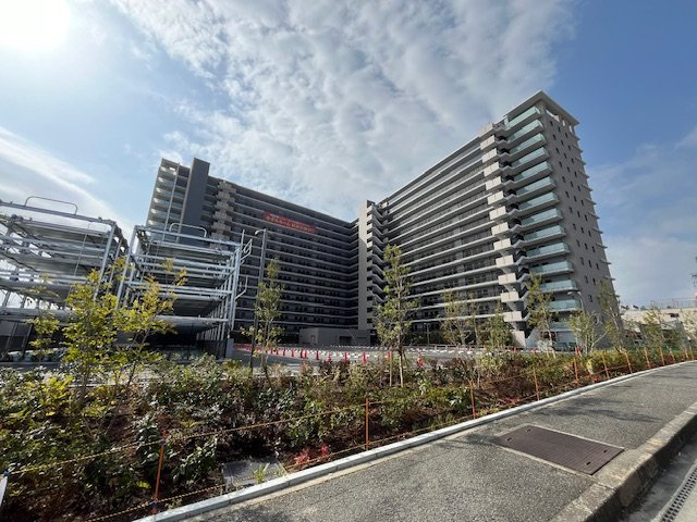 ヴェリテ金剛ルネクロスサイト