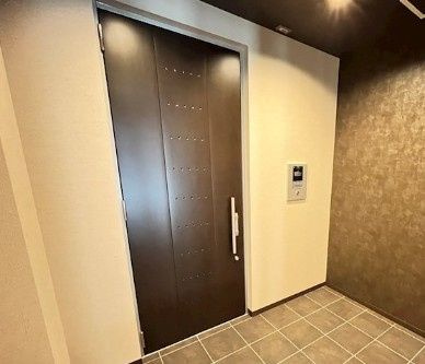 ラピスラズリのセキュリティ