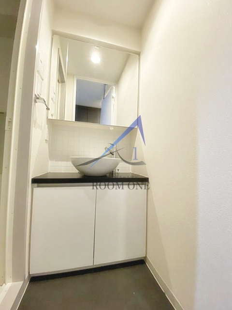 ブライズ東雪谷アジールコートの洗面所|独立洗面台です。