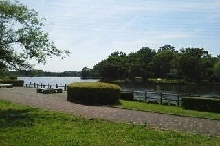 【周辺】 | パルテールＮ | 門池公園まで350m