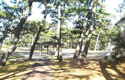 【周辺】 | エイス　クラウディア | 千本公園まで1200m