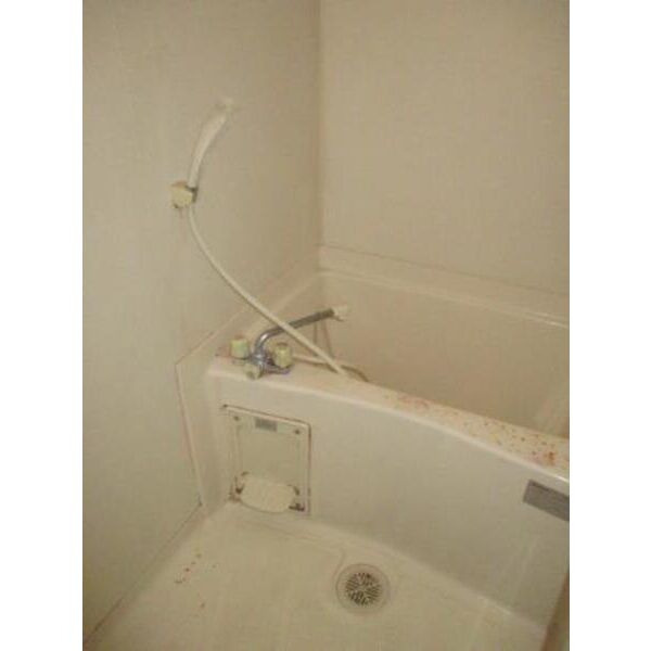 コーポイーストライトの浴室