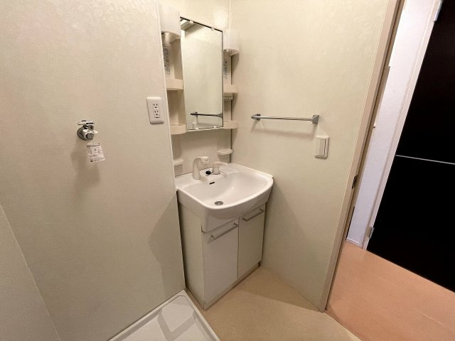 BOSSVIの洗面所