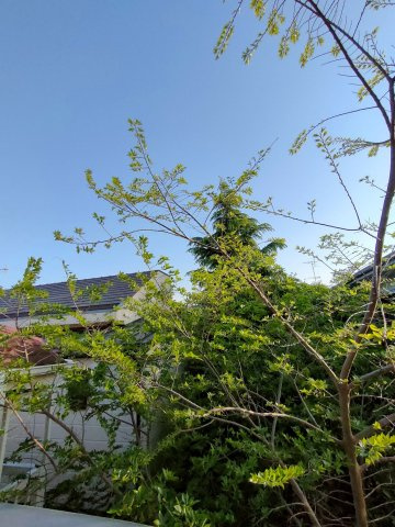 アジュテ・グラース清水が丘の展望