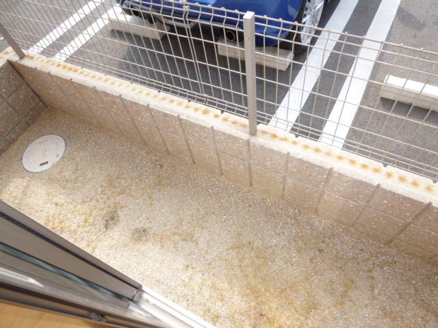 サニープレインⅡの庭