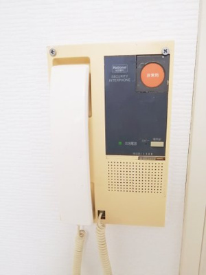 【セキュリティ】 | ラパンジール大国5