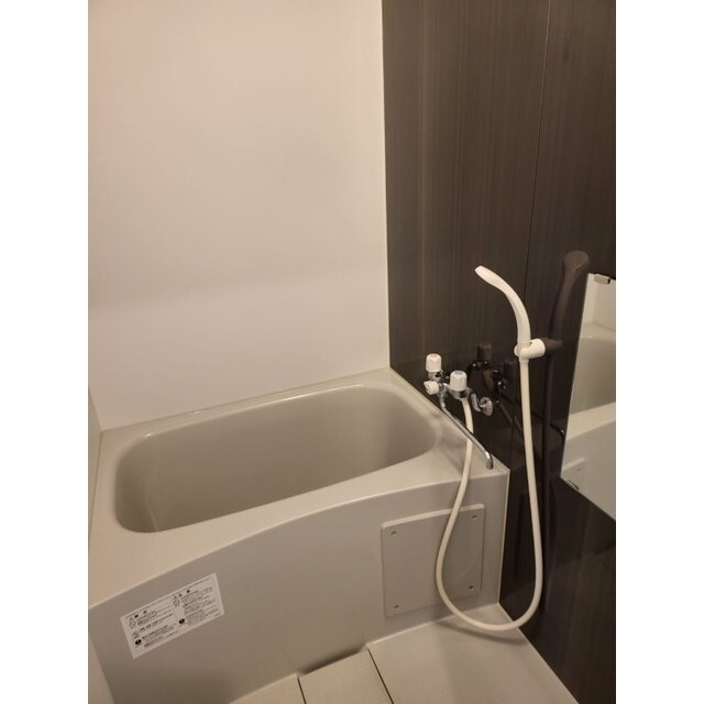 ユナイト石川町パウリスターナの内装