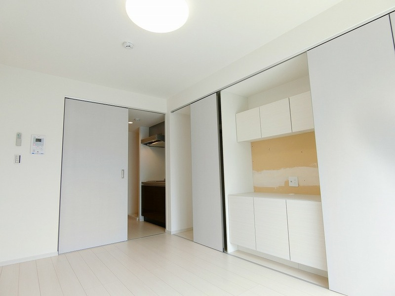 リブリ・カワセミのその他