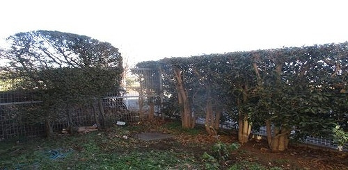 ライオンズマンション春日部壱番館のその他|専用庭　　※2026年1月撮影