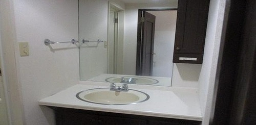 ライオンズマンション春日部壱番館の洗面所|洗面所　※2026年1月撮影