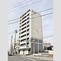 マイコスモスの画像