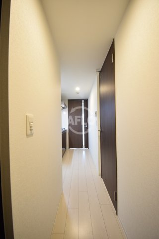 リンクス大阪城SOUTHレジデンスの玄関|リンクス大阪城SOUTHレジデンス　玄関