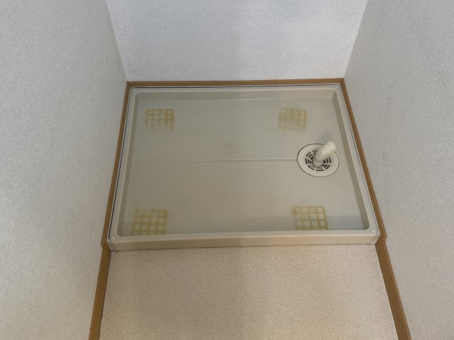 カリーノ・Ｓのその他