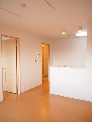 アンジュラのその他