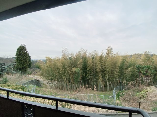 グリーンハイツの展望