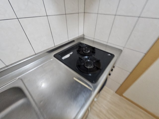 ジェミニハイムのその他