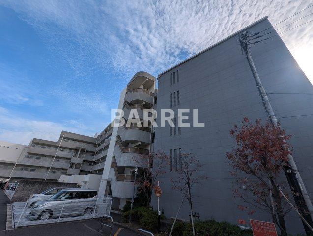 ひよどりの外観