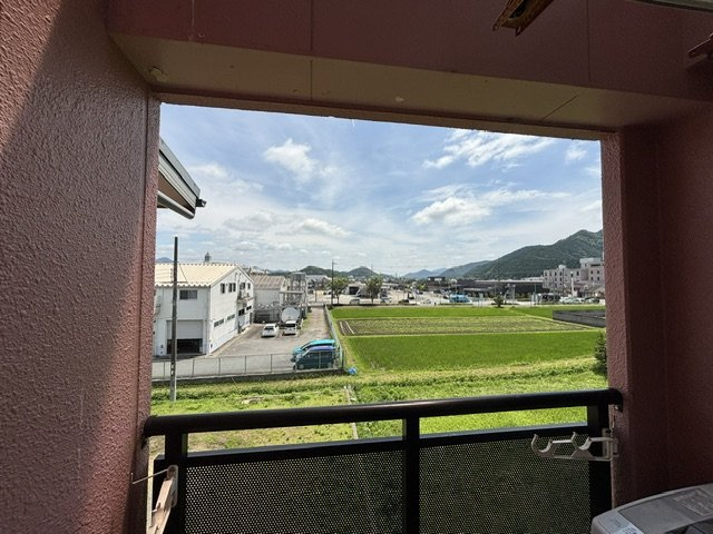 ラベンダーの展望
