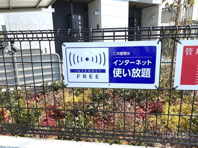 ヴェルデのその他