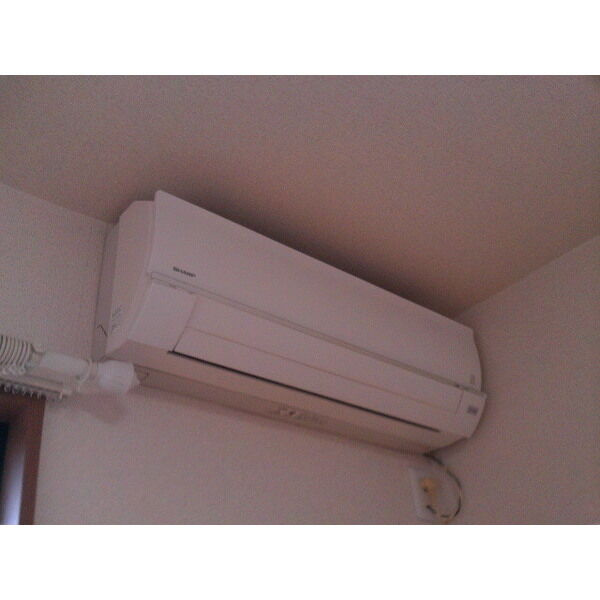 アンプルール リーブル Soleadoのその他