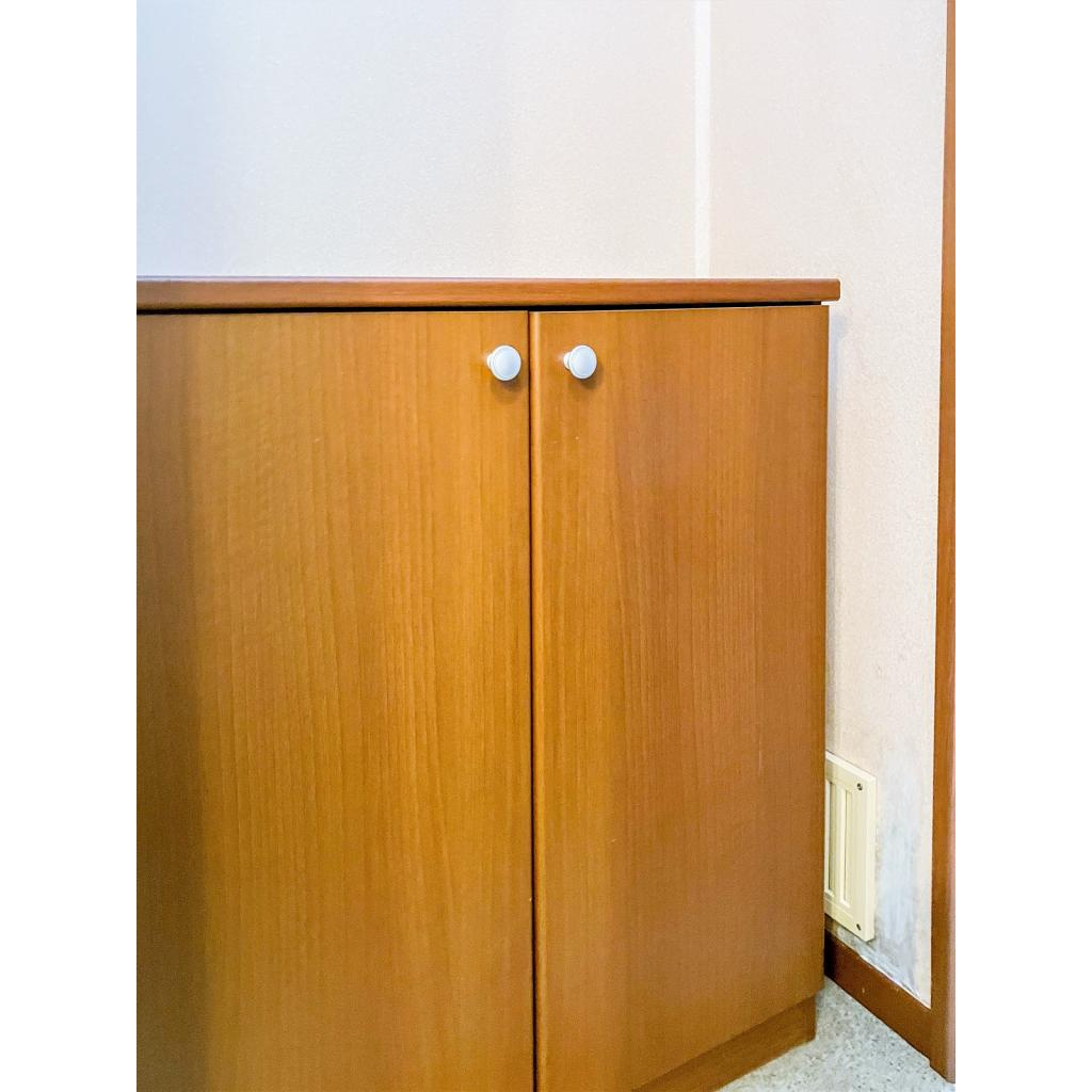 ウイスタリアⅡの収納|落ち着いた玄関です