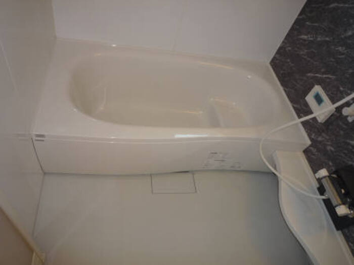 カーサ ヴェルデⅡの浴室|バスルーム(ｴｺｷｭｰﾄ)