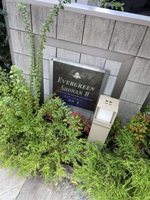 【その他】 | エバーグリーン湘南