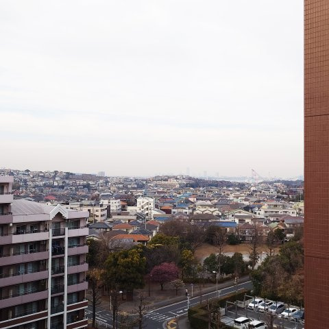 ビーコンヒル能見台ウエストヒルＡ館の展望