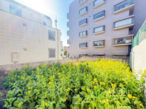 大田区上池台5丁目の画像