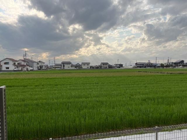 カメリア石鎚Ⅰの展望
