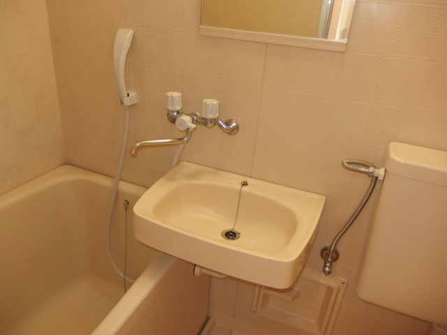 メゾン西大平Ⅱの洗面所