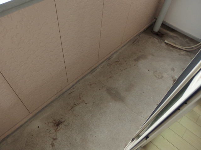 メゾン西大平Ⅱのバルコニー