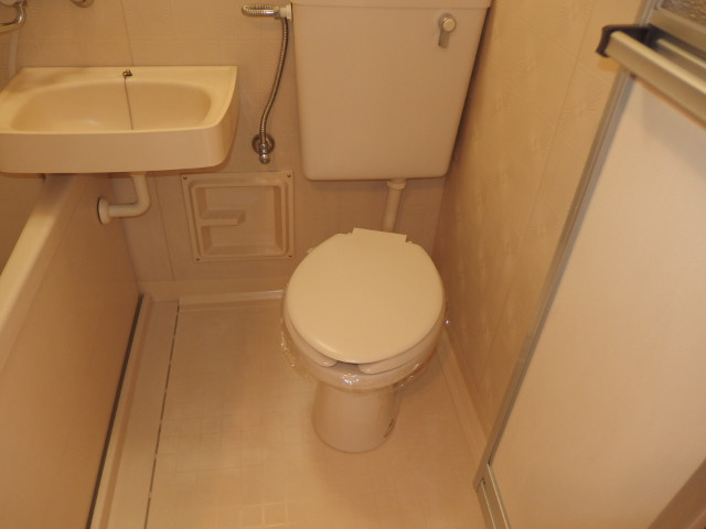 メゾン西大平Ⅱのトイレ