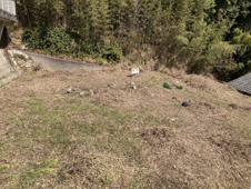 大村市武部町売地の画像