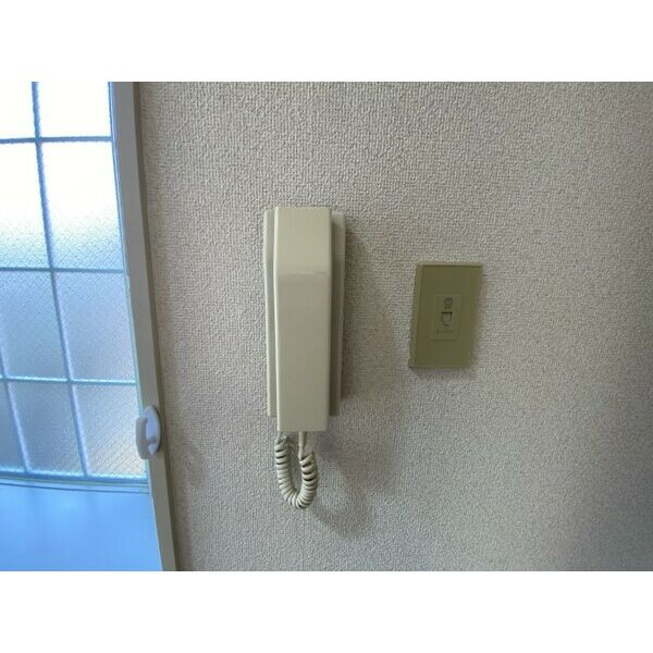 パヴィオンドラレーヌのセキュリティ