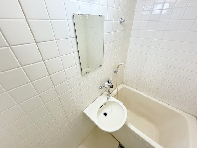 エクセレント上新サンウイングの洗面所