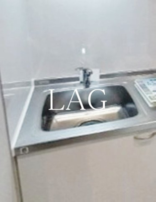 【その他】 | Y-HouseⅡ | シンクです。