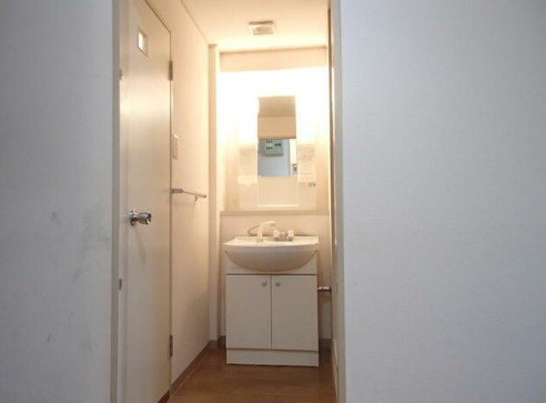 ハイツ柳井の洗面所