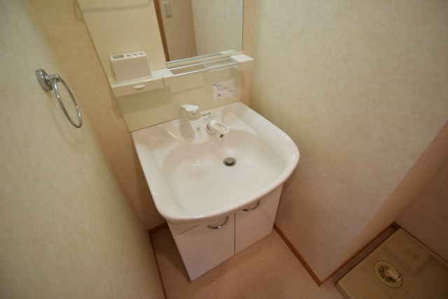 プラムガーデンの洗面所|洗面台、