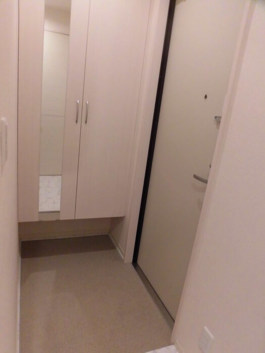 ルナージュ A棟の玄関|A303 玄関