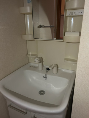 【独立洗面台】 | パセオ亀井