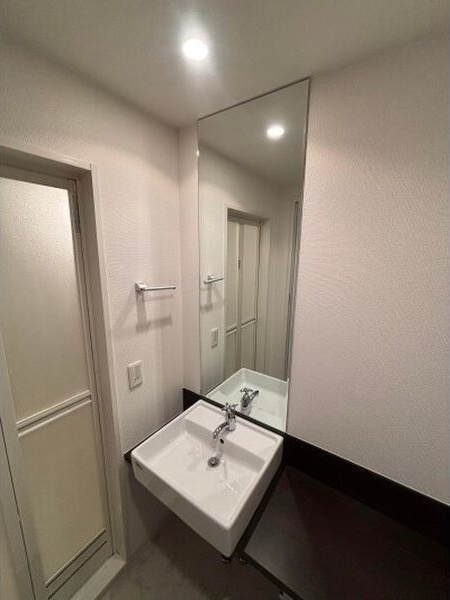 マリオン城西の洗面所