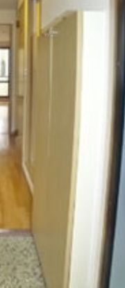 サンシャイン菅野のその他